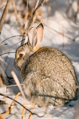 20250126-141135-untitled-2.ARW