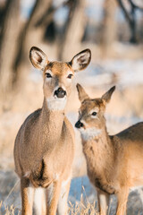 20250126-144137-untitled-2.ARW