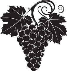 Black silhouette of grapes with leaves vector illustration