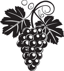 Black silhouette of grapes with leaves vector illustration