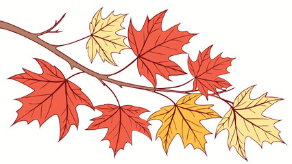 Fototapeta premium Autumn Maple Leaves on a Branch.
