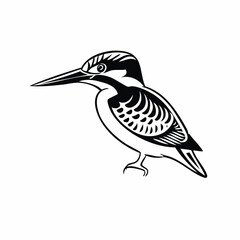 Obraz premium Common Kingfisher Bird image vector. Illustration of Common Kingfisher Bird image isolated on white background.