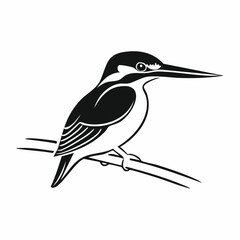 Obraz premium Common Kingfisher Bird image vector. Illustration of Common Kingfisher Bird image isolated on white background.
