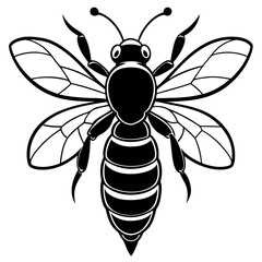 bee on white background