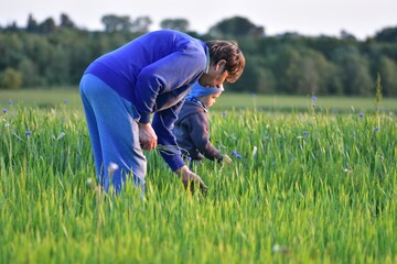 Young child and grandmother stand in a lush green field, picking wild flowers . Wide countryside...
