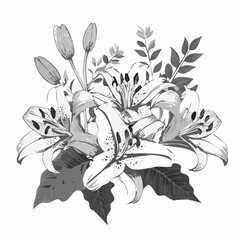 Lily flowers branch with flowers and buds vector illustration on white background