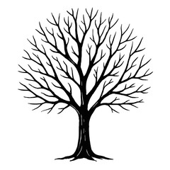Obraz premium Detailed Black and White Bare Tree Silhouette Vector - Symbol of Winter, Growth, and Nature