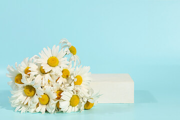 Empty podium with beautiful flowers of garden chamomile and mallow.Abstract flower...