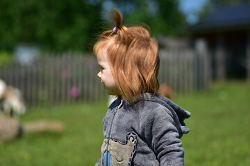 Little girl with red hair visiting goats on a sunny green farm profile shoot. Joyful rural moment...