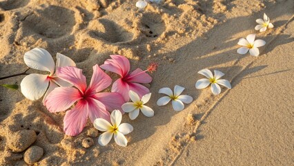 Pink Hibiscus and Plumeria Blossoms on Golden Sandy Beach