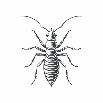 black and white ant drawing clip art preview
