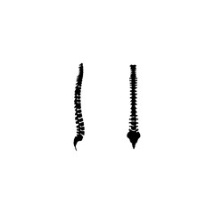 Human spine set icon flat vector design.