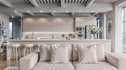 The modern minimalist living room and kitchen area