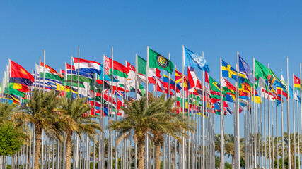 Many world's countries national flags waving on the wind, with UN, EU, GCC, Belarusian, Paraguayan, Mexican banners with palms in the foreground, Doha, Qatar