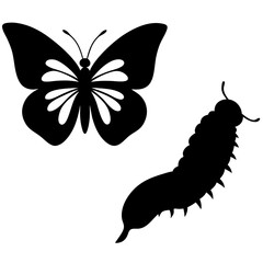 butterfly vector illustration