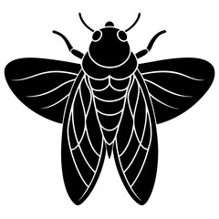 vector illustration of a wasp