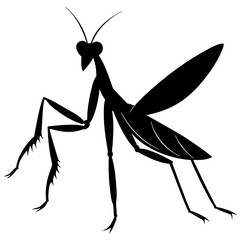 praying mantis vector