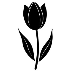 black and white tulip