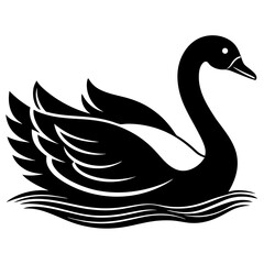 black swan vector illustration