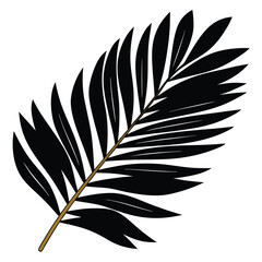 Obraz premium Isolated black palm frond illustration with brown stem on white background graphic leaf