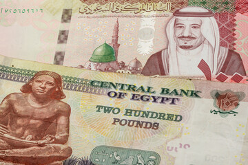 100 Saudi riyal and 200 Egyptian pound banknotes. International trade concept