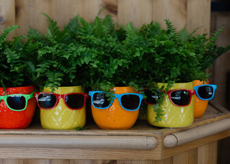 Colorful pots with sunglasses and green plants create a fun and vibrant decor setting