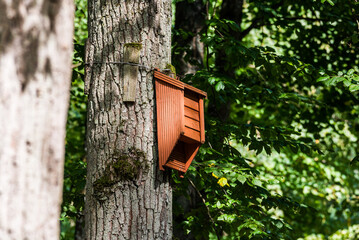 Gierloz, Poland - August 16, 2021. Bat booth in Wolfs Liar museum area