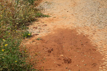 A close up view of Red Earth Texture Muddy Pavement After Rain 