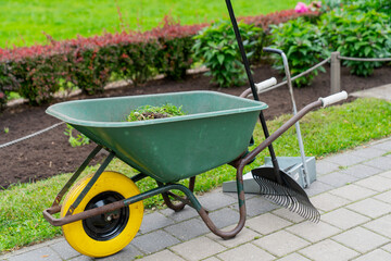 green wheelbarrow filled with grass clippings standing on garden path with rake broom and gardening...