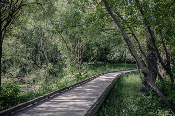 Wooden Pathway in Summer Park – Scenic Walking Trail Amidst Greenery, Landscaped Park Design