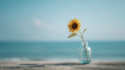 Minimalist Sunflower in Glass Vase by the Sea Under Soft Morning Light