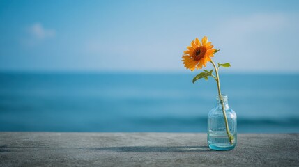 Minimalist Sunflower in Glass Vase by the Sea Under Soft Morning Light