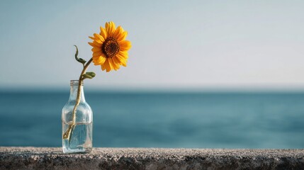 Minimalist Sunflower in Glass Vase by the Sea Under Soft Morning Light