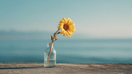 Minimalist Sunflower in Glass Vase by the Sea Under Soft Morning Light