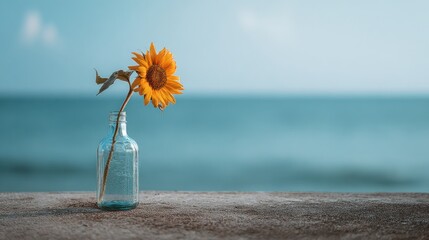 Minimalist Sunflower in Glass Vase by the Sea Under Soft Morning Light