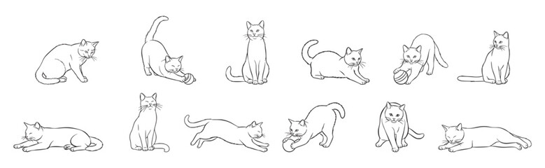 Collection of hand-drawn cat outline sketches in various poses, perfect for pet lovers, Vector Illustration