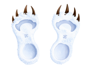 Reindeer footprints in snow, transparent background 