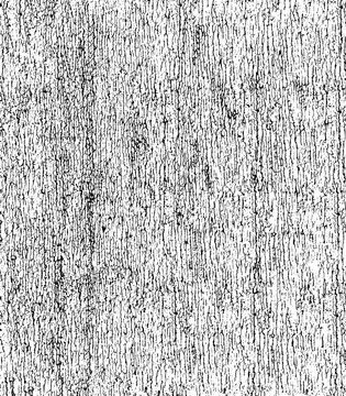 Vector grunge plastisol texture. Distressed, cracked overlay for vintage effects. Perfect for t-shirt graphics.