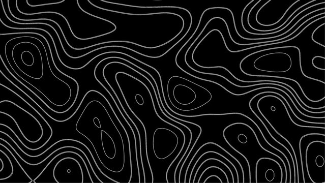 Bold abstract design combining sinuous lines with intricate labyrinth structures . Contour Line Patterns Showing the Complexity of Topographic Landscapes 
