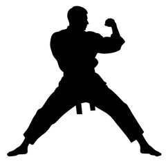 Karate silhouette of a man striking a pose without background  