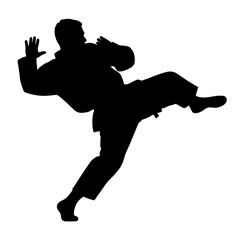 Silhouette of martial artist performing a kick without background  