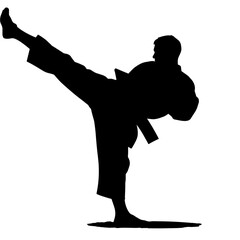 Karate athlete performing a high kick in silhouette without background  