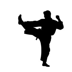 Male martial artist performing a high kick in silhouette without background  