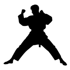 Silhouette of a martial artist in a fighting stance without background  