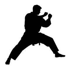 Karate man silhouette in fighting stance without background  