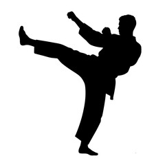 Martial artist performing a high kick in silhouette without background  