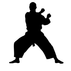 Karate silhouette of a martial artist in fighting stance without background  