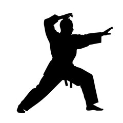Martial artist in pose with hands raised on a white background  