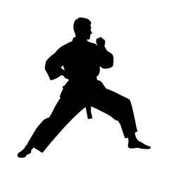 Karate athlete in action silhouette without background  