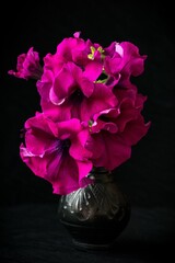 Beautiful background with pink petunias in the vase; Petunia Grandiflora